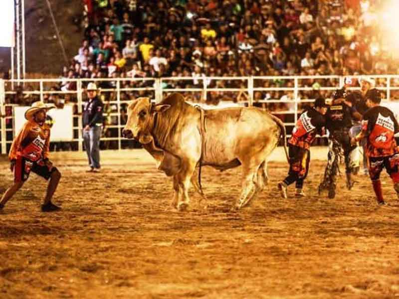Programação do Rodeio de Muribeca 2019