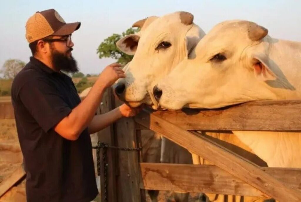 Casa de Henrique e Juliano