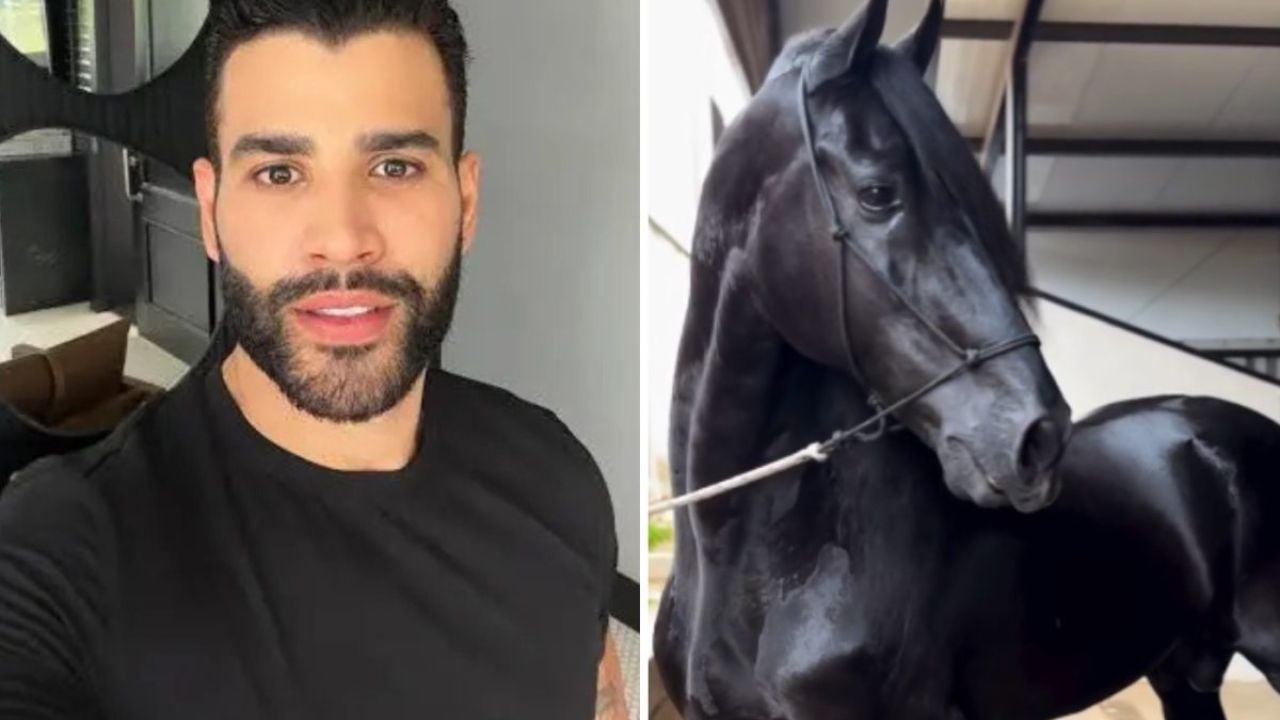 Garanhão de elite ligado a Gusttavo Lima chama atenção e movimenta o mercado equestre